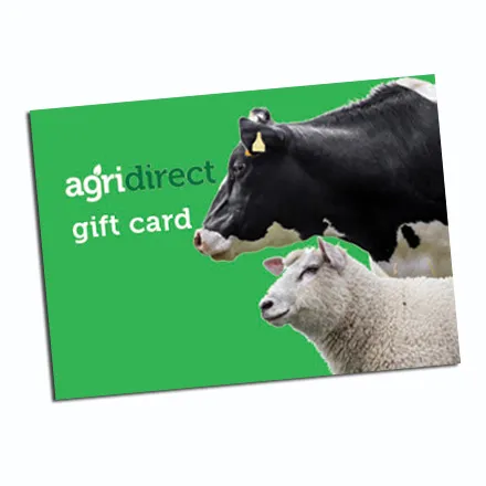 Gift Voucher