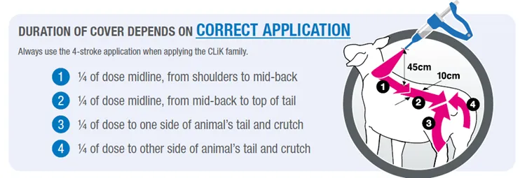 Correct Application of Clik and clikzin