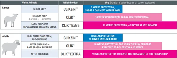 Clik Products for blowfly protection in Sheep 