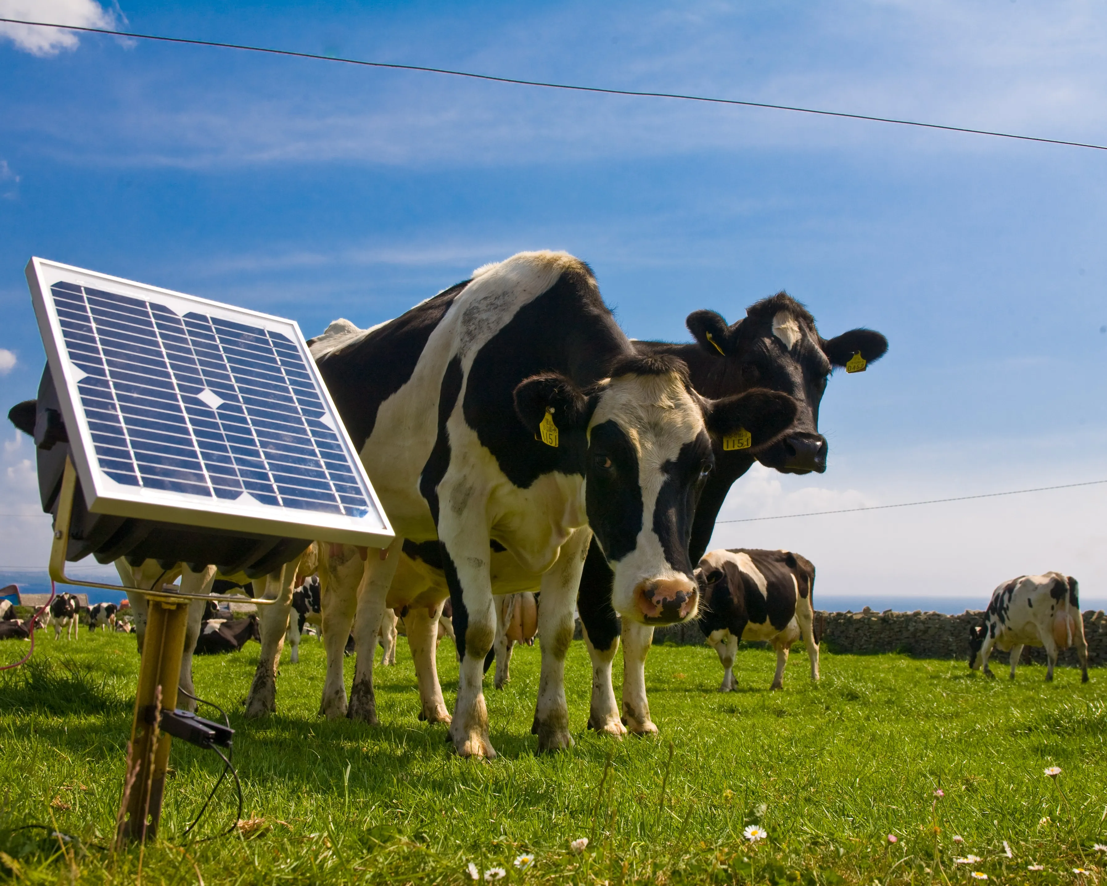 Explore Our Range Of Fencers