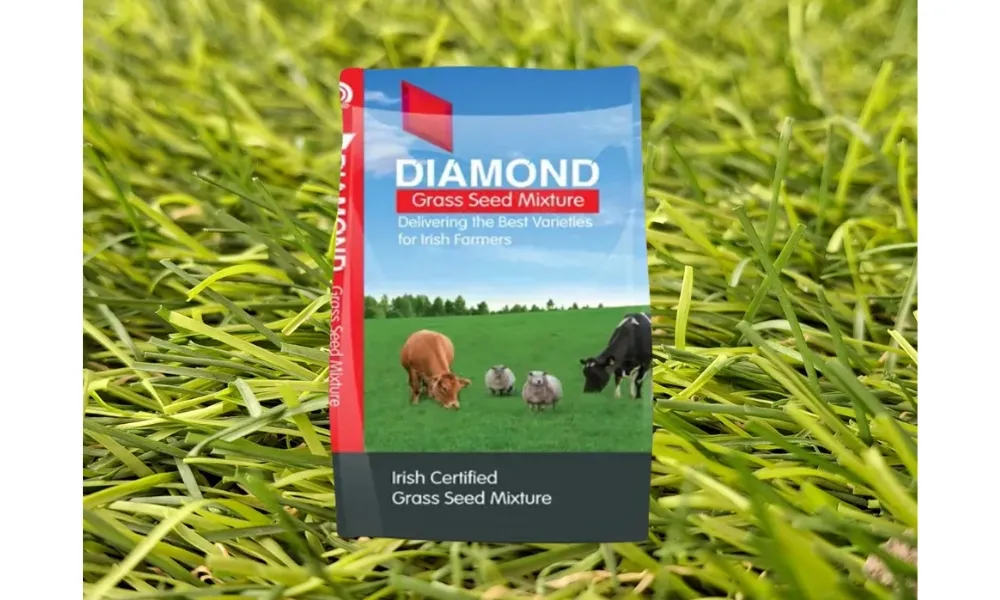 Specialised Grass Seed Mixes