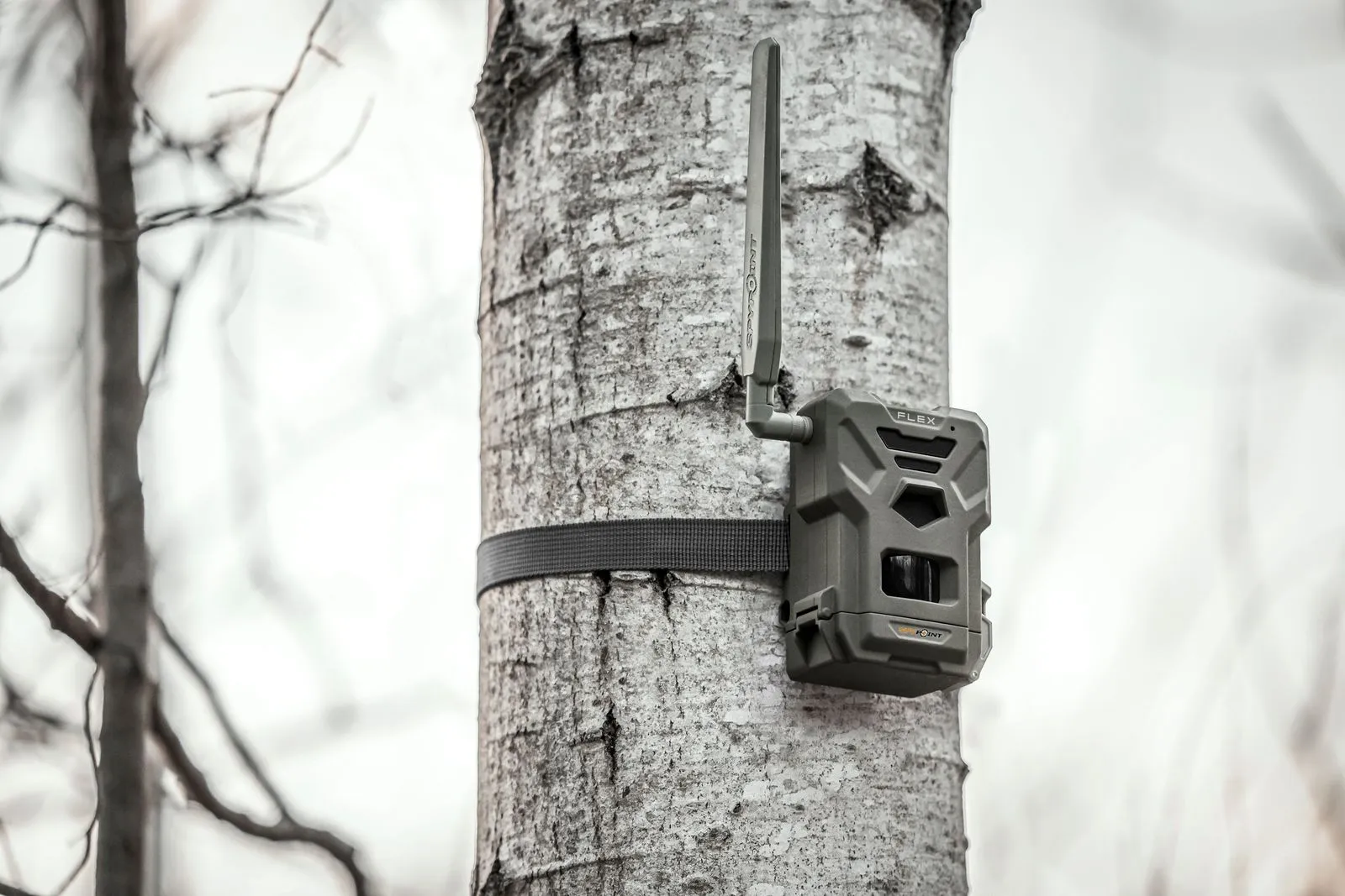 Spypoint Trail Cameras – Eyes on Your Land, 24/7