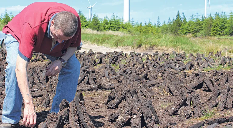 A day at the bog