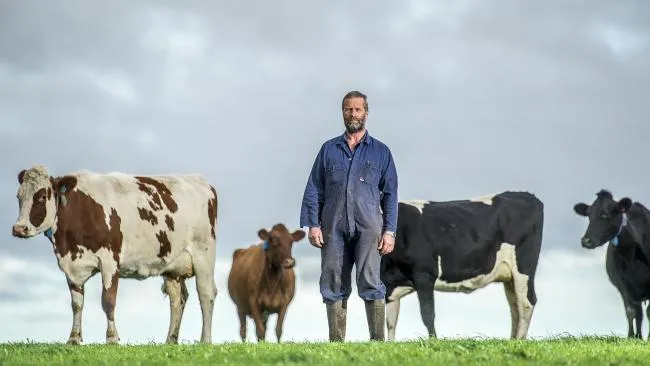 Milk & Honey, The Life Of An Irish Dairy Farmer