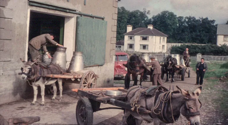 A look at life on the farm in 1960’s rural Ireland