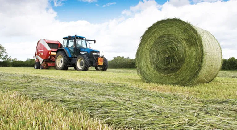 Top tips for cutting your silage bill