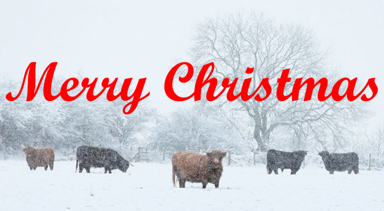 Thank You and Merry Christmas From All at Agridirect