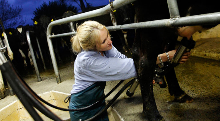 Signs You're a Dairy Farmer (Part 1)