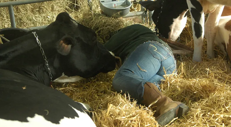Signs You're a Dairy Farmer (Part 2)