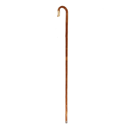 chestnut-crook