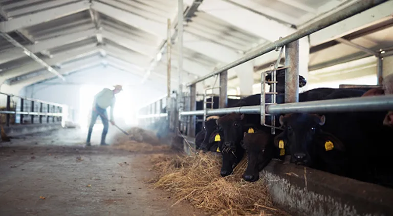 A Day To Thank Our Farmers?