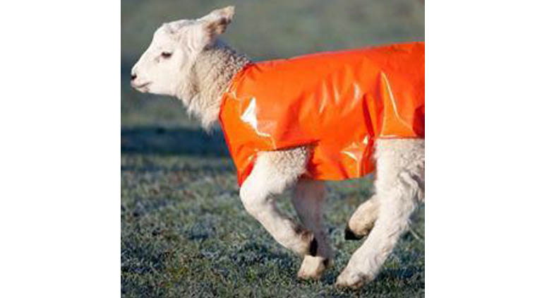 Lamb coat 001