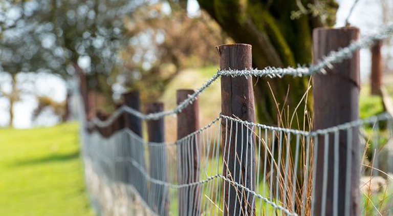Our Guide to a Sheep-Proof Fence