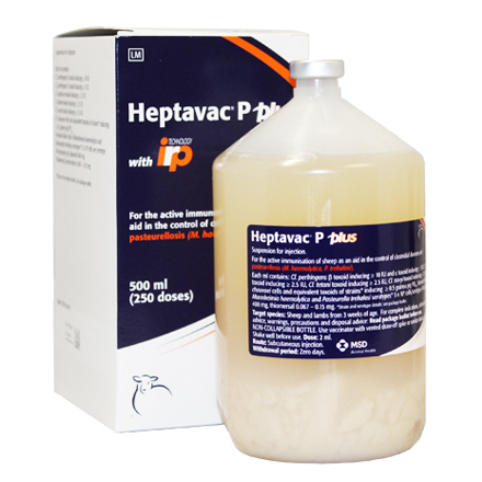 Heptavac Plus 001