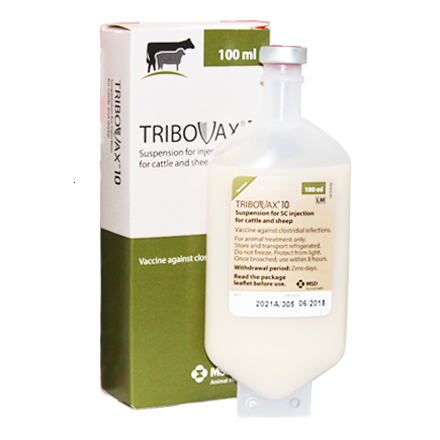 Tribovax 001