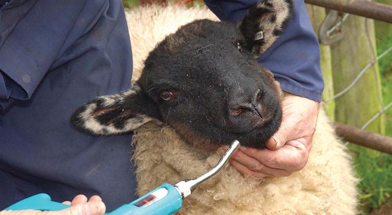 What price will we pay? The strong case against wormer regulation