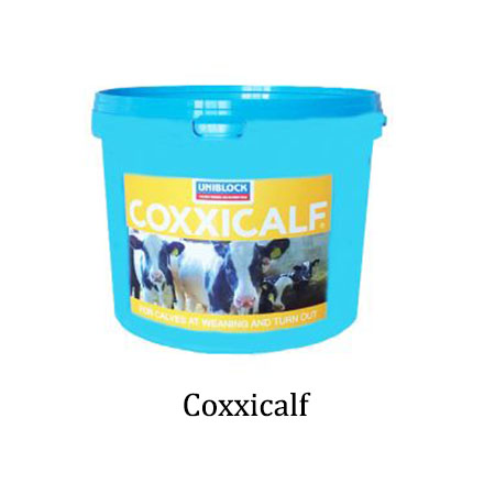 Coxxicalf 001