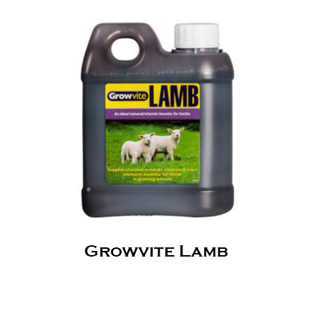 Growvite Lamb 001