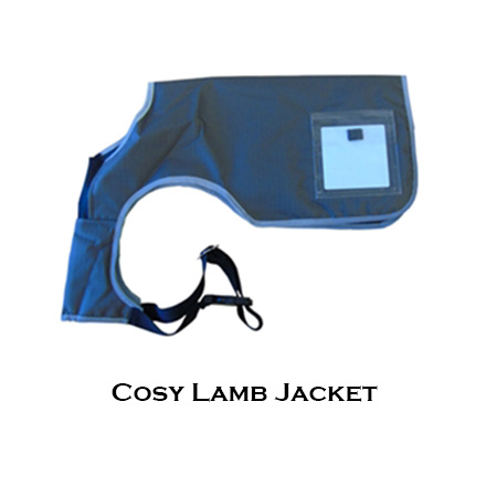 Lamb Jacket 001