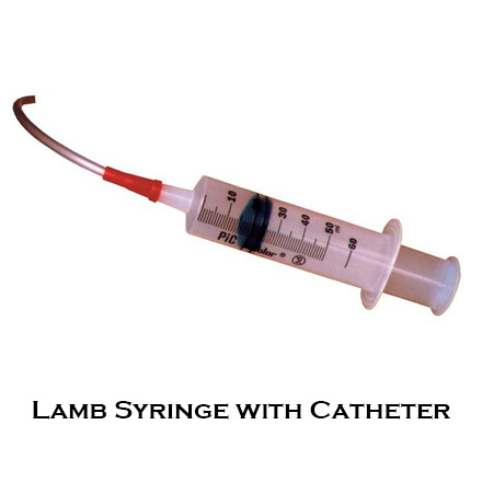Lamb syringe