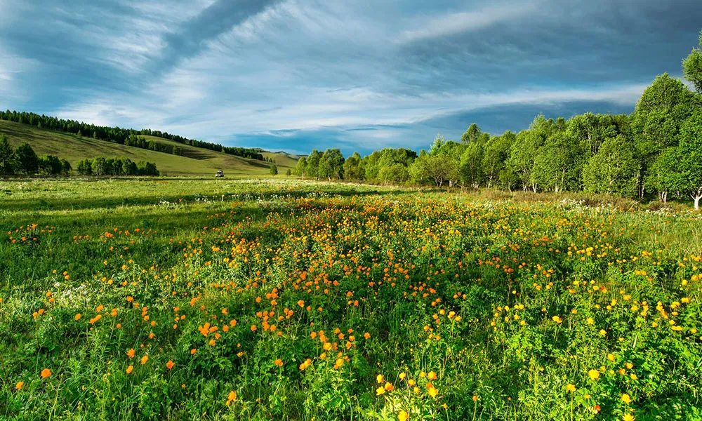 The Climate and Agriculture Report – Have Your Say