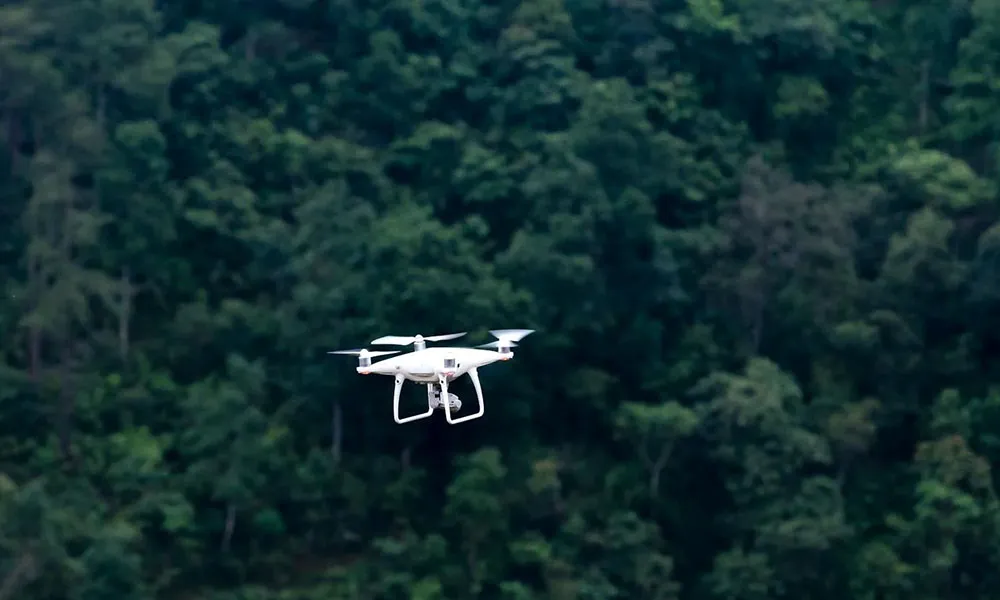 Will Artificial Intelligence change the way we farm?