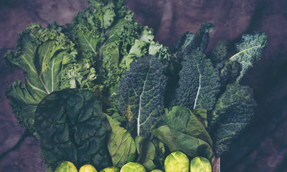 Food Security: 4 Great Garden Vegetables to Beat Food Shortages