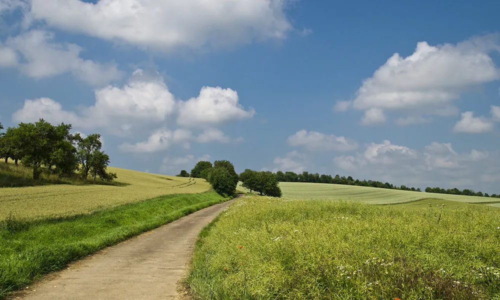 Are fertiliser prices making the Organic option more appealing?