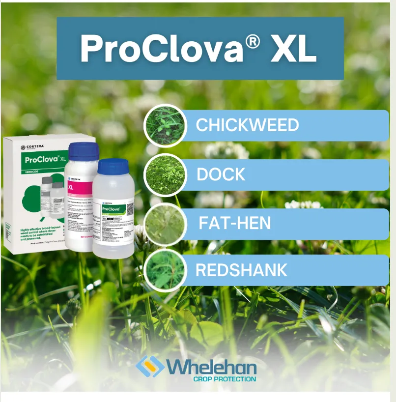Crop Protection Grassland