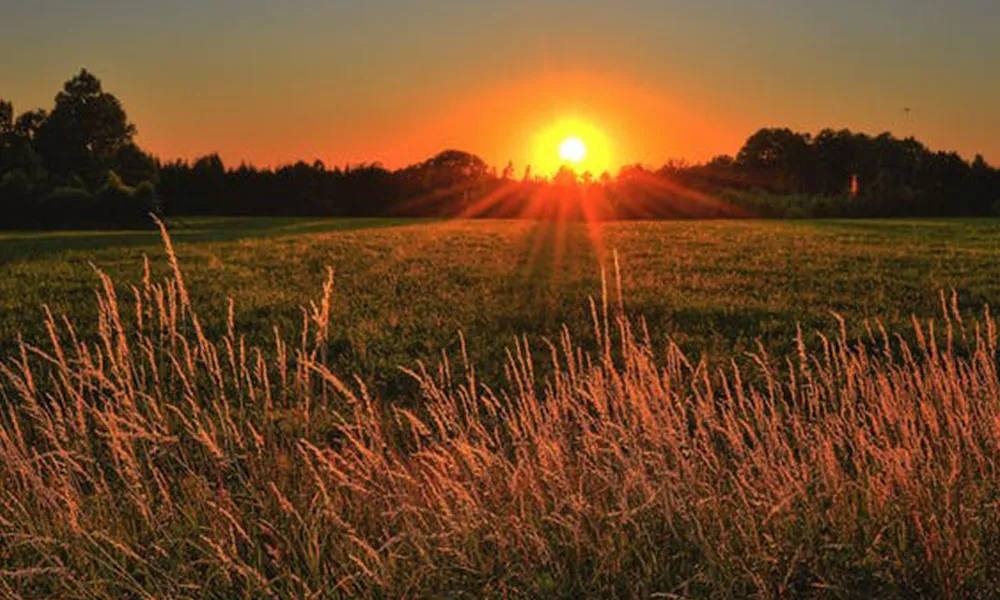 Skin Cancer Rate Among Farmers Means We Can’t Forget Our Sunscreen 