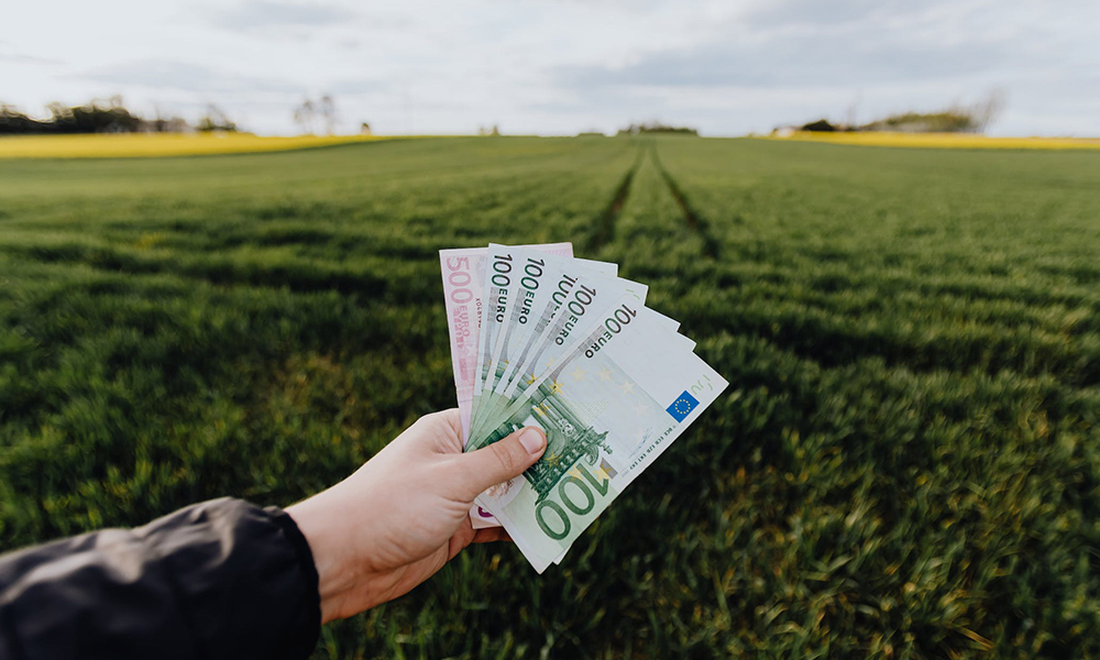 The Ukraine Credit Guarantee Scheme: What Farmers Need To Know