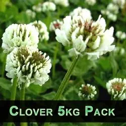 Clover 5kg Pack