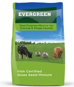Evergreen Super Graze - Intensive Grazing