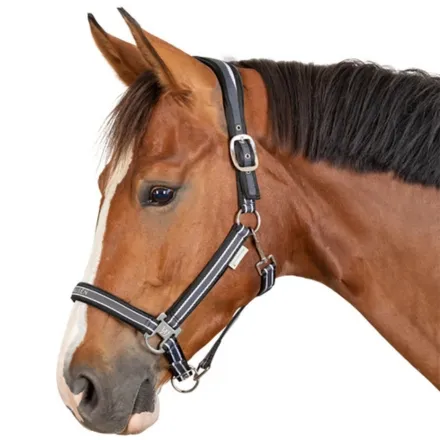 Athletic Halter - Asphalt/Black