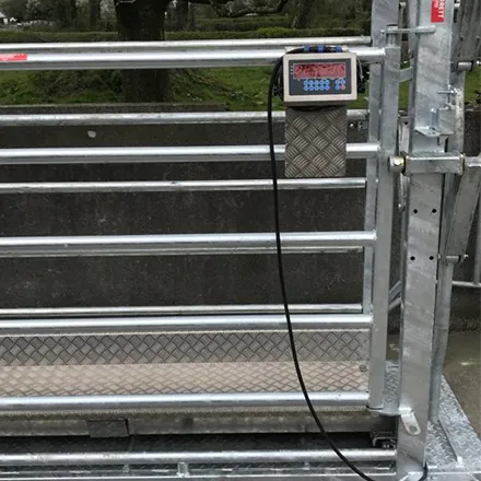 Barrett Engineering Cattle Weighing Scales (4 Tonne)
