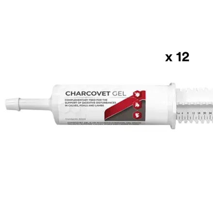 Charcovet Gel Syringe X 12