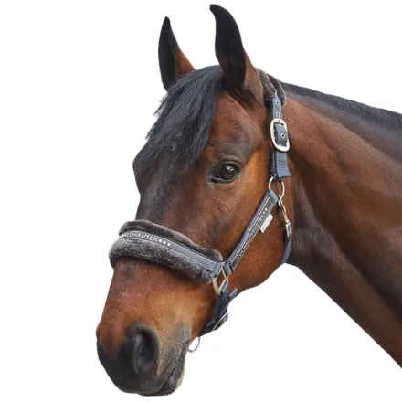 Elegant halter - Asphalt