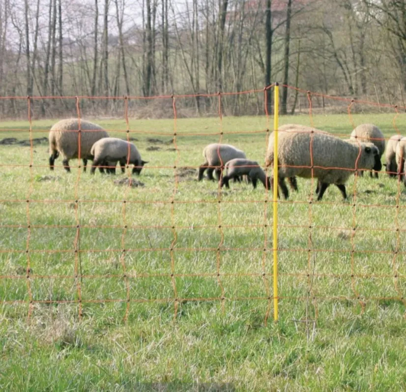 Flexi Sheep Netting Double Prong Std 90cm X 60m agridirect.ie