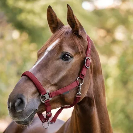 Gloomy Halter - Bordeaux