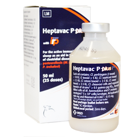 Heptavac P Plus immunisation for sheep | | agridirect.ie
