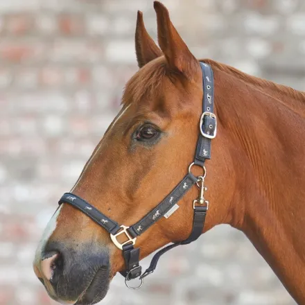 Little Horse Halter - Black