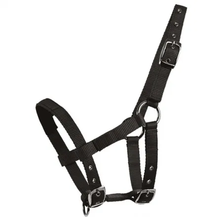 Mini Shetland Halter - Black