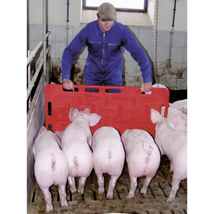 Pig Driving Boards- 94cm x 76cm