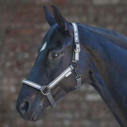 REFLEX Stripe Halter - Pony