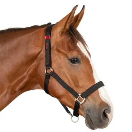 Safety Halter - Pony