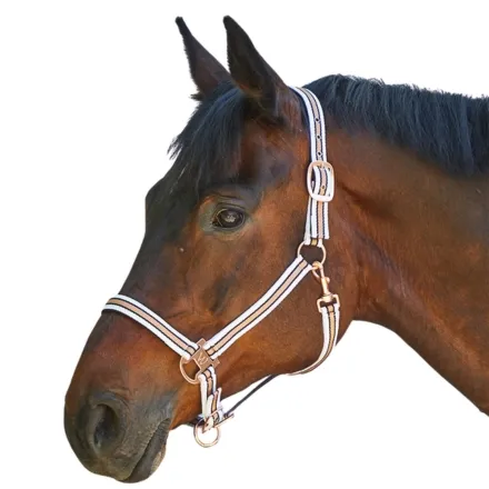 Shine Halter - White/Rose