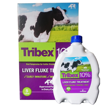 Tribex 10% (Triclabendazole)